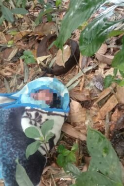 berita-rekomendasi-foto