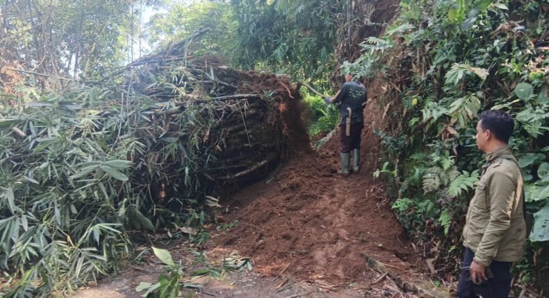 foto slider headline