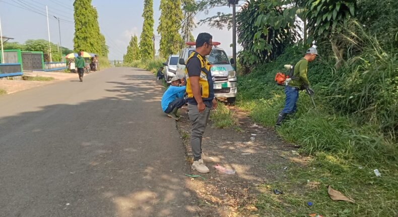 foto slider headline