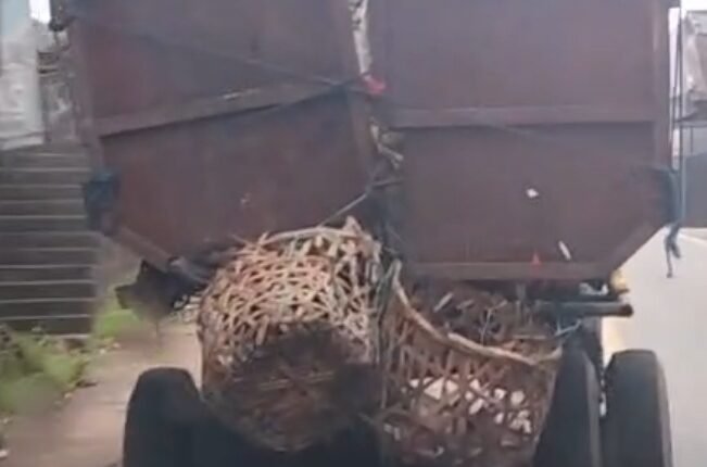 foto slider headline