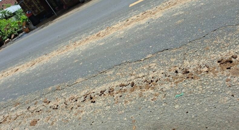 foto slider headline