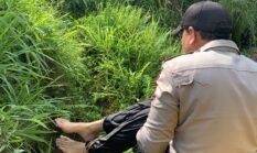 berita-pilihan-foto