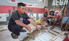 berita-pilihan-foto