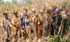 berita-pilihan-foto
