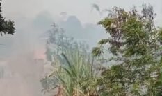 berita-pilihan-foto